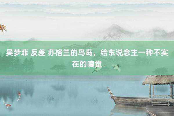吴梦菲 反差 苏格兰的鸟岛,给东说念主一种不实在的嗅觉