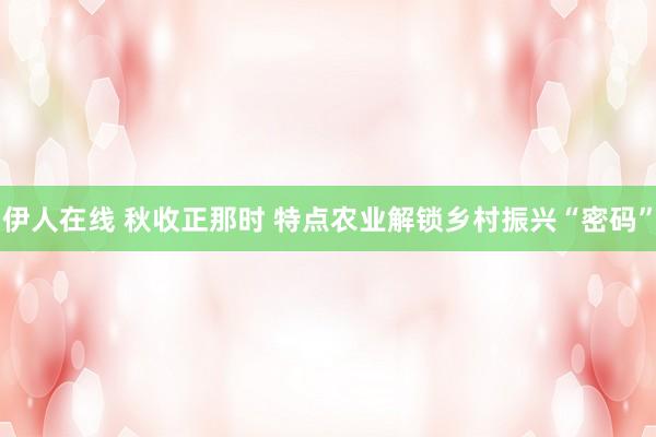 伊人在线 秋收正那时 特点农业解锁乡村振兴“密码”