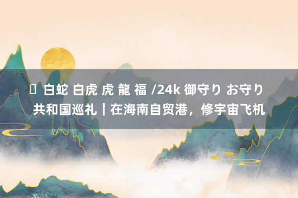 ✨白蛇 白虎 虎 龍 福 /24k 御守り お守り 共和国巡礼｜在海南自贸港，修宇宙飞机