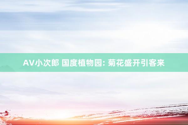 AV小次郎 国度植物园: 菊花盛开引客来
