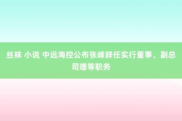 丝袜 小说 中远海控公布张峰辞任实行董事、副总司理等职务