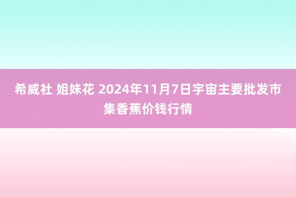 希威社 姐妹花 2024年11月7日宇宙主要批发市集香蕉价钱行情