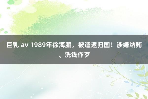 巨乳 av 1989年徐海鹏，被遣返归国！涉嫌纳贿、洗钱作歹