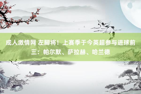 成人激情网 左脚将！上赛季于今英超参与进球前三：帕尔默、萨拉赫、哈兰德