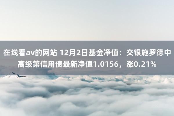 在线看av的网站 12月2日基金净值：交银施罗德中高级第信用债最新净值1.0156，涨0.21%