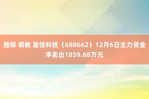 捆绑 调教 富信科技（688662）12月6日主力资金净卖出1839.68万元
