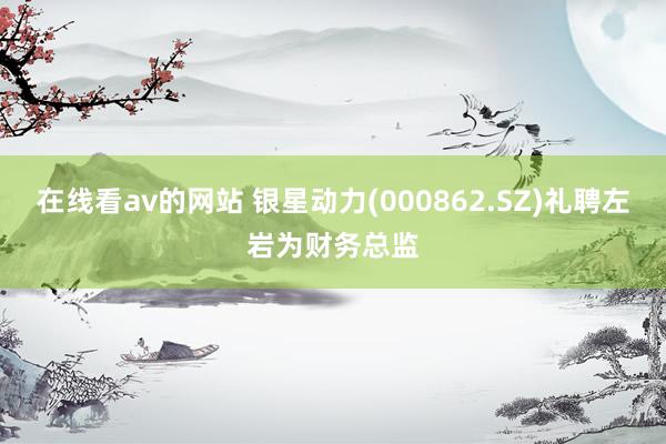 在线看av的网站 银星动力(000862.SZ)礼聘左岩为财务总监
