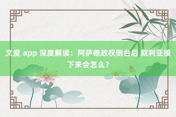 文爱 app 深度解读：阿萨德政权倒台后 叙利亚接下来会怎么？