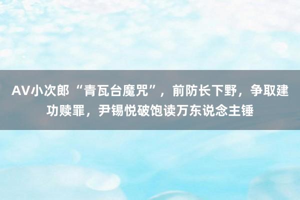 AV小次郎 “青瓦台魔咒”，前防长下野，争取建功赎罪，尹锡悦破饱读万东说念主锤