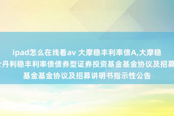 ipad怎么在线看av 大摩稳丰利率债A，大摩稳丰利率债C: 摩根士丹利稳丰利率债债券型证券投资基金基金协议及招募讲明书指示性公告