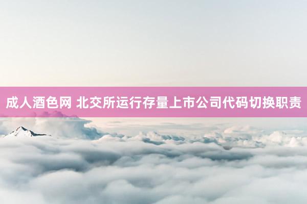 成人酒色网 北交所运行存量上市公司代码切换职责