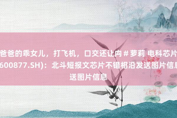爸爸的乖女儿，打飞机，口交还让禸＃萝莉 电科芯片(600877.SH)：北斗短报文芯片不错相沿发送图片信息