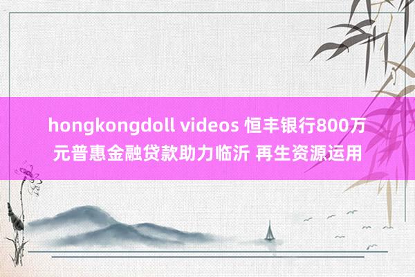 hongkongdoll videos 恒丰银行800万元普惠金融贷款助力临沂 再生资源运用