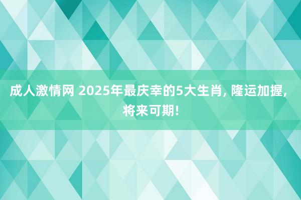 成人激情网 2025年最庆幸的5大生肖， 隆运加握， 将来可期!