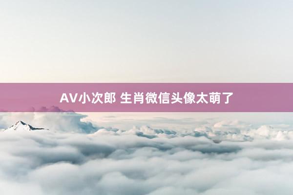 AV小次郎 生肖微信头像太萌了