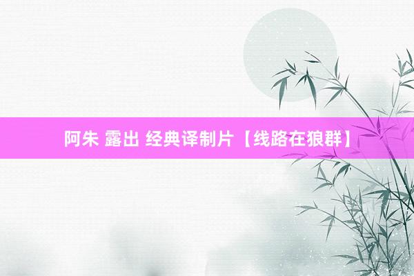 阿朱 露出 经典译制片【线路在狼群】