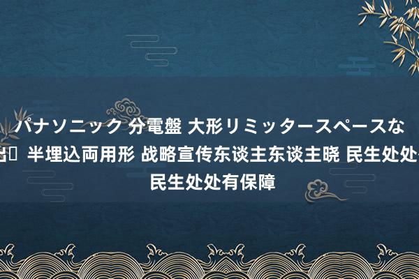 パナソニック 分電盤 大形リミッタースペースなし 露出・半埋込両用形 战略宣传东谈主东谈主晓 民生处处有保障