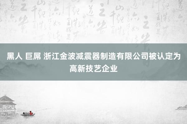 黑人 巨屌 浙江金波减震器制造有限公司被认定为高新技艺企业