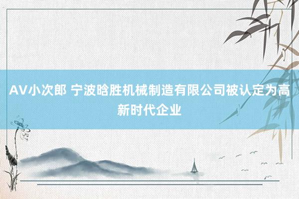 AV小次郎 宁波晗胜机械制造有限公司被认定为高新时代企业