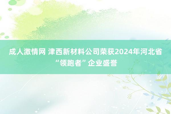 成人激情网 津西新材料公司荣获2024年河北省“领跑者”企业盛誉