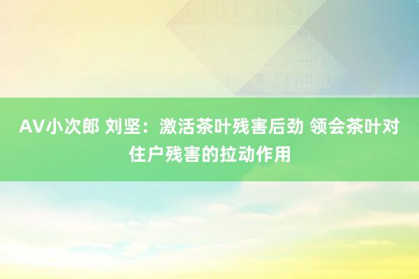 AV小次郎 刘坚：激活茶叶残害后劲 领会茶叶对住户残害的拉动作用