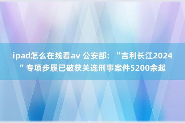 ipad怎么在线看av 公安部：“吉利长江2024”专项步履已破获关连刑事案件5200余起