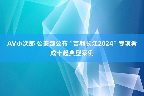 AV小次郎 公安部公布“吉利长江2024”专项看成十起典型案例