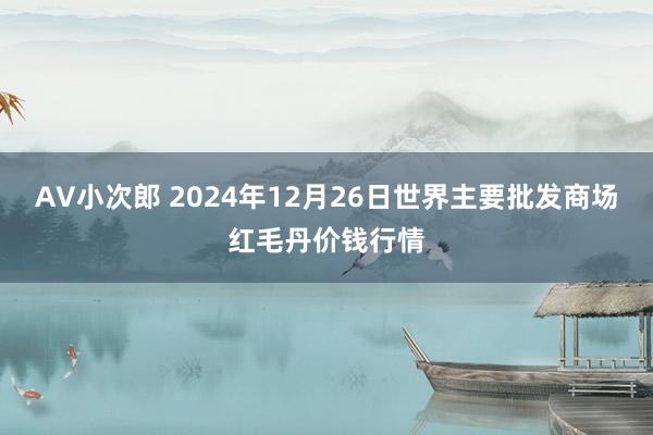 AV小次郎 2024年12月26日世界主要批发商场红毛丹价钱行情