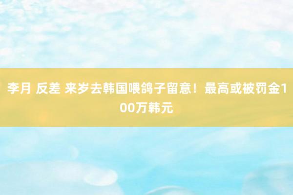 李月 反差 来岁去韩国喂鸽子留意！最高或被罚金100万韩元