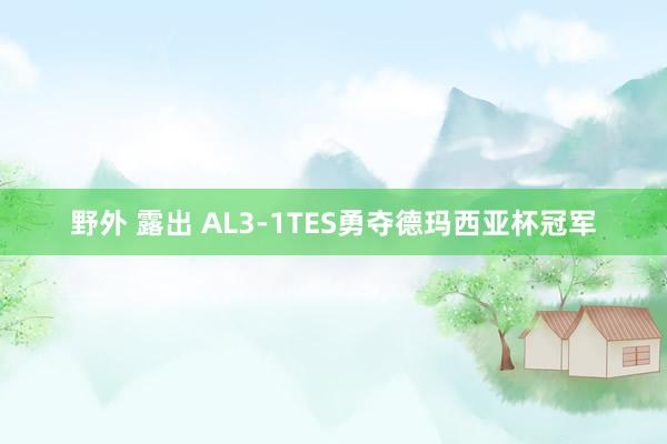 野外 露出 AL3-1TES勇夺德玛西亚杯冠军