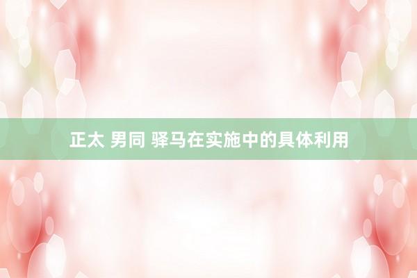 正太 男同 驿马在实施中的具体利用