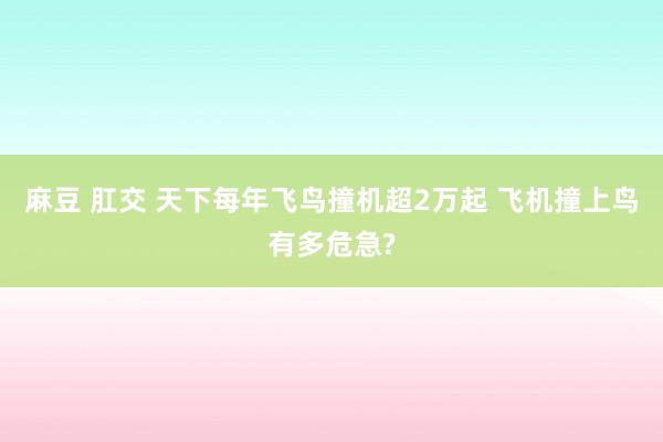 麻豆 肛交 天下每年飞鸟撞机超2万起 飞机撞上鸟有多危急?