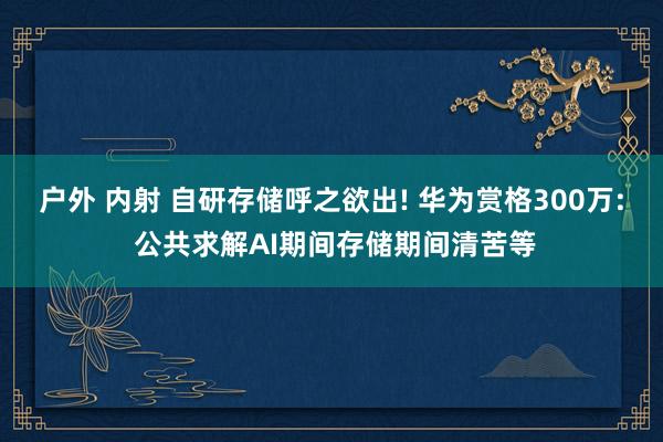 户外 内射 自研存储呼之欲出! 华为赏格300万: 公共求解AI期间存储期间清苦等