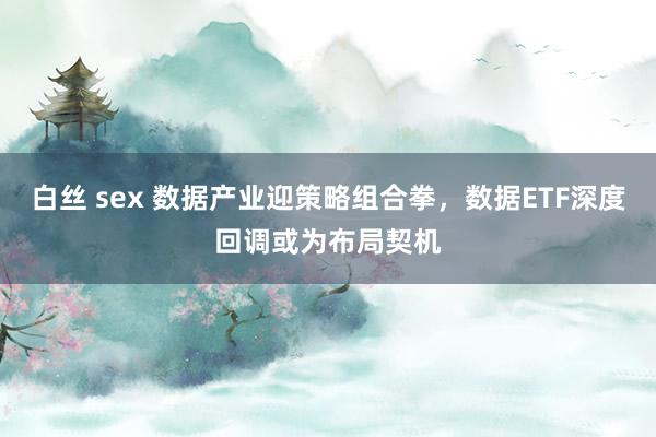 白丝 sex 数据产业迎策略组合拳，数据ETF深度回调或为布局契机