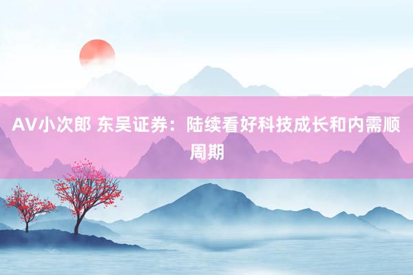 AV小次郎 东吴证券：陆续看好科技成长和内需顺周期