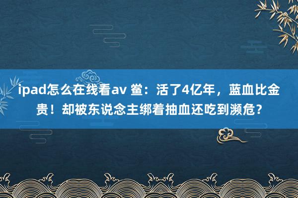 ipad怎么在线看av 鲎：活了4亿年，蓝血比金贵！却被东说念主绑着抽血还吃到濒危？