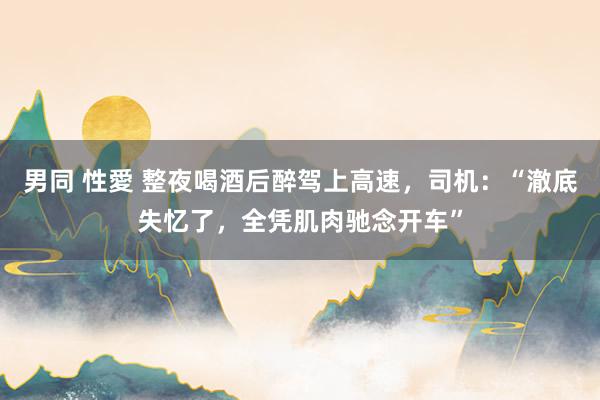 男同 性愛 整夜喝酒后醉驾上高速，司机：“澈底失忆了，全凭肌肉驰念开车”
