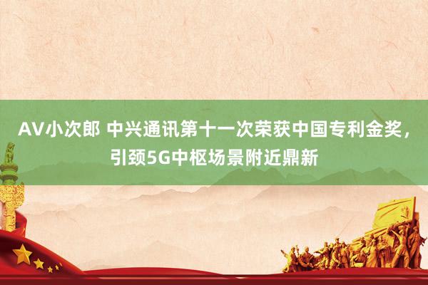 AV小次郎 中兴通讯第十一次荣获中国专利金奖，引颈5G中枢场景附近鼎新