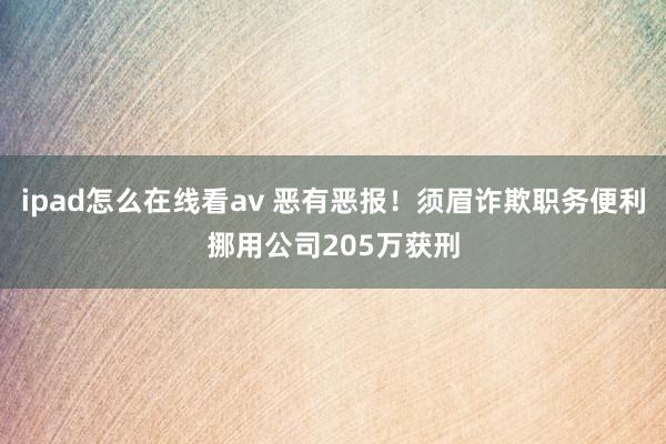 ipad怎么在线看av 恶有恶报！须眉诈欺职务便利挪用公司205万获刑