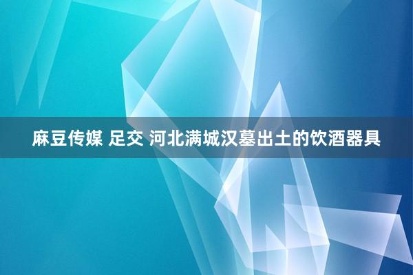 麻豆传媒 足交 河北满城汉墓出土的饮酒器具