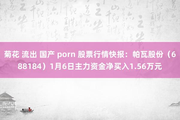菊花 流出 国产 porn 股票行情快报：帕瓦股份（688184）1月6日主力资金净买入1.56万元
