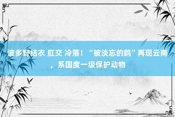 波多野结衣 肛交 冷落！“被淡忘的鸥”再现云南，系国度一级保护动物