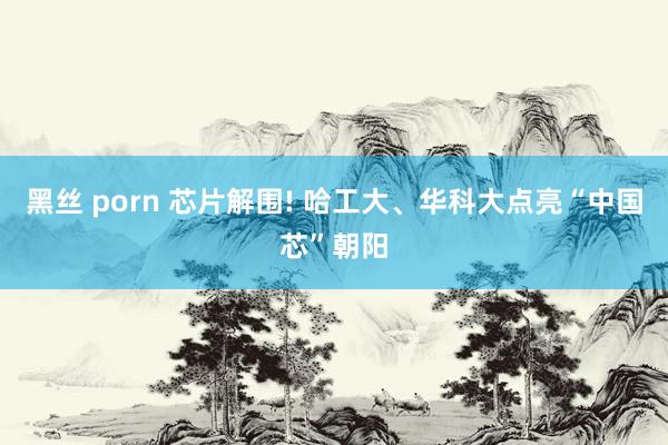 黑丝 porn 芯片解围! 哈工大、华科大点亮“中国芯”朝阳