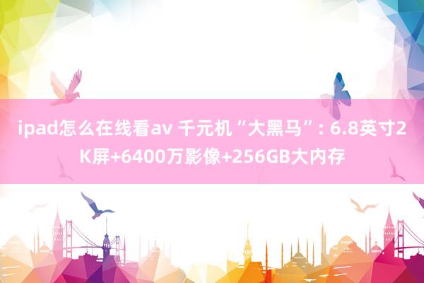 ipad怎么在线看av 千元机“大黑马”: 6.8英寸2K屏+6400万影像+256GB大内存