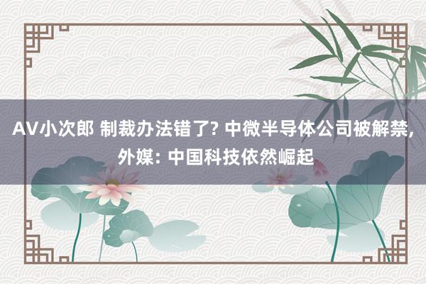 AV小次郎 制裁办法错了? 中微半导体公司被解禁， 外媒: 中国科技依然崛起