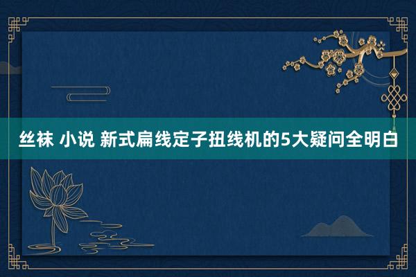丝袜 小说 新式扁线定子扭线机的5大疑问全明白