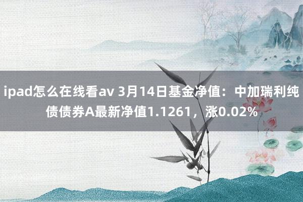ipad怎么在线看av 3月14日基金净值：中加瑞利纯债债券A最新净值1.1261，涨0.02%