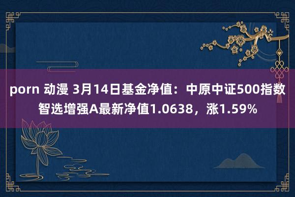 porn 动漫 3月14日基金净值：中原中证500指数智选增强A最新净值1.0638，涨1.59%