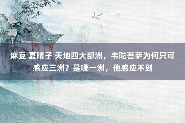 麻豆 夏晴子 天地四大部洲，韦陀菩萨为何只可感应三洲？是哪一洲，他感应不到