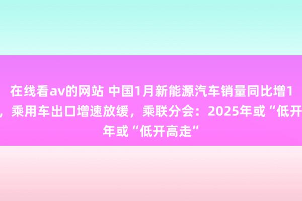 在线看av的网站 中国1月新能源汽车销量同比增10.5%，乘用车出口增速放缓，乘联分会：2025年或“低开高走”